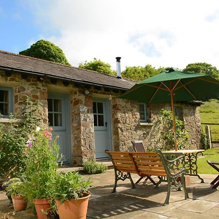 Dandelion Cottage, Amroth Exterior photo