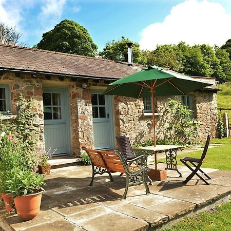 Dandelion Cottage, Amroth Exterior photo
